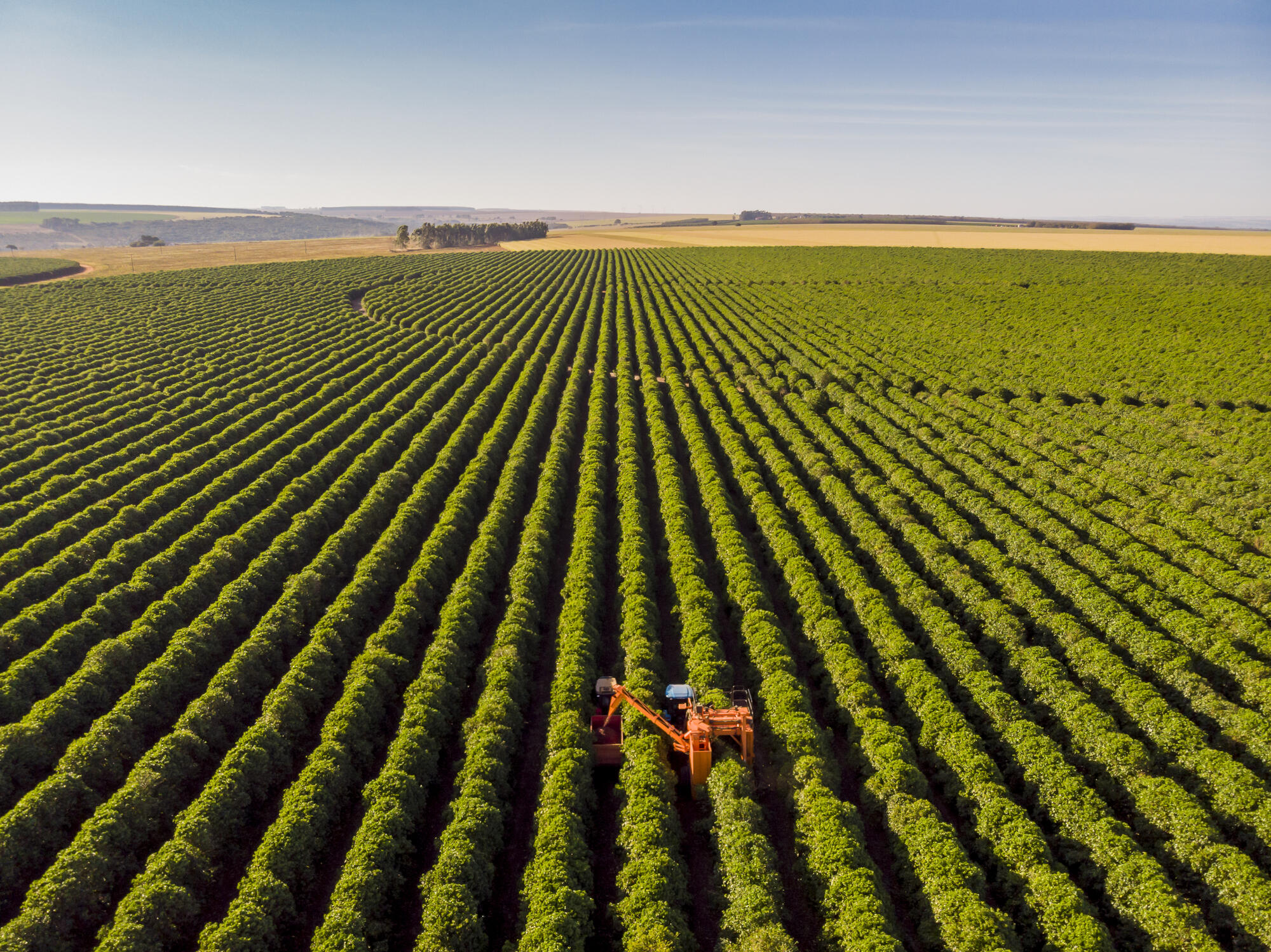 Análise: A crise invisível que ameaça o agronegócio brasileiro