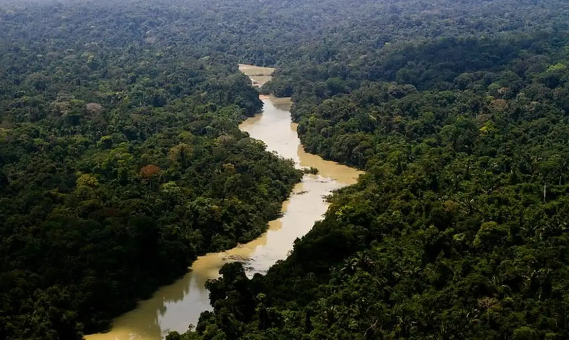 STF homologa planos de Mato Grosso e Pará para regularização ambiental de imóveis rurais