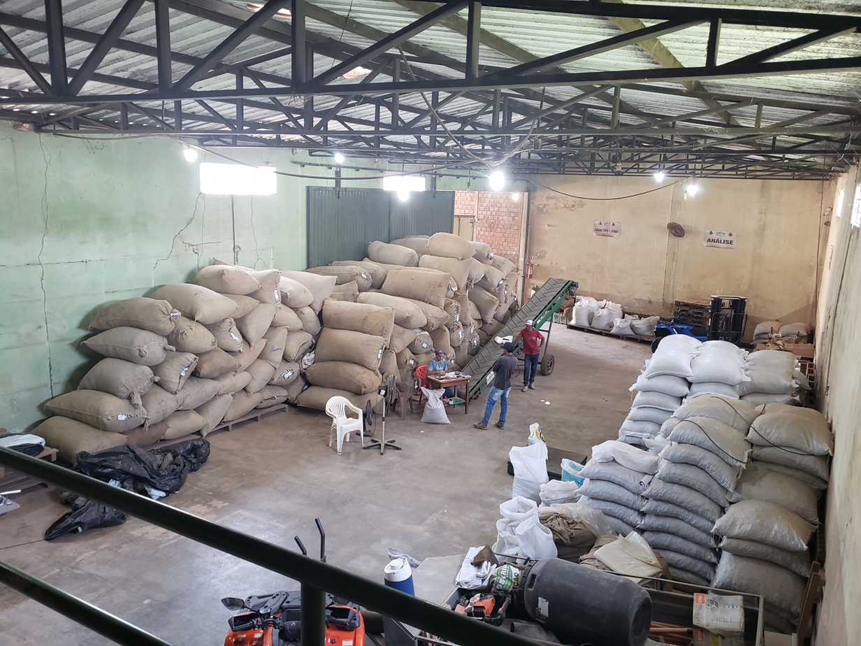 Cooperativa de São Felix do Xingu amplia produção, gera renda e fortalece a sociobioeconomia na Amazônia