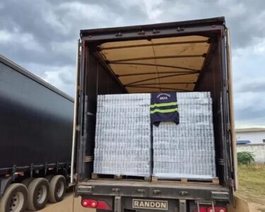 Ações da Sefa resultam na apreensão de açaí, cerveja e material elétrico no Pará