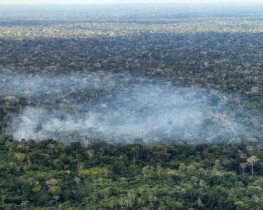 Estudo aponta atividade humana nas emissões de carbono na Amazônia