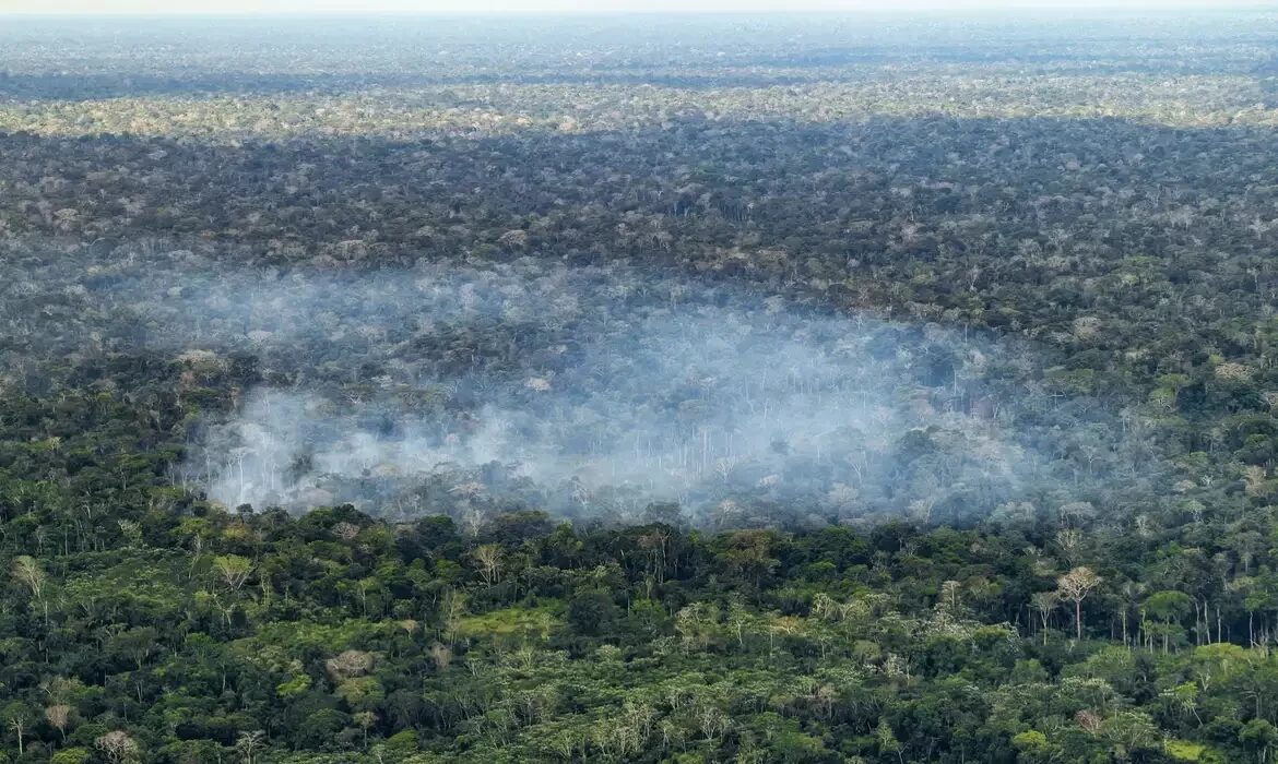 Estudo aponta ação humana como motor de emissões na Amazônia