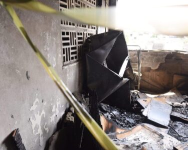 Gato e cobra de estimação morrem em incêndio de kitnet em Belém