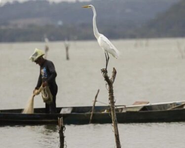 Justiça do Trabalho proíbe sindicato de pescadores do Pará de praticar assédio eleitoral contra associados