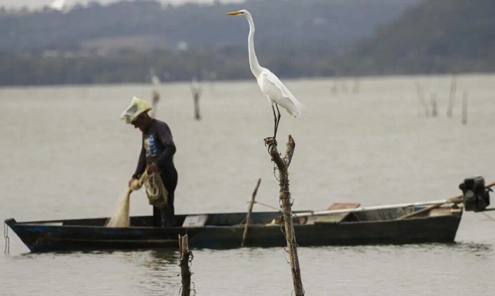 Justiça proíbe sindicato no Pará de coagir pescadores nas eleições
