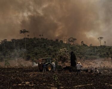 MPF recomenda comitê de crise e reforço imediato no combate às queimadas no Pará