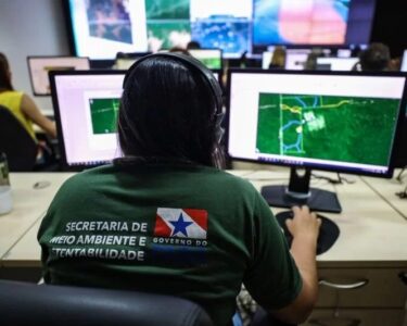 Pará registra queda de mais de 40% nas emissões de dióxido de carbono em um ano