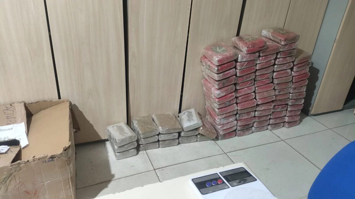 PM apreende 100 kg de drogas escondidas com naftalina no Pará
