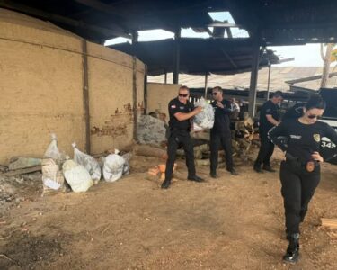 Polícia Civil incinera 130 quilos de drogas em Eldorado do Carajás