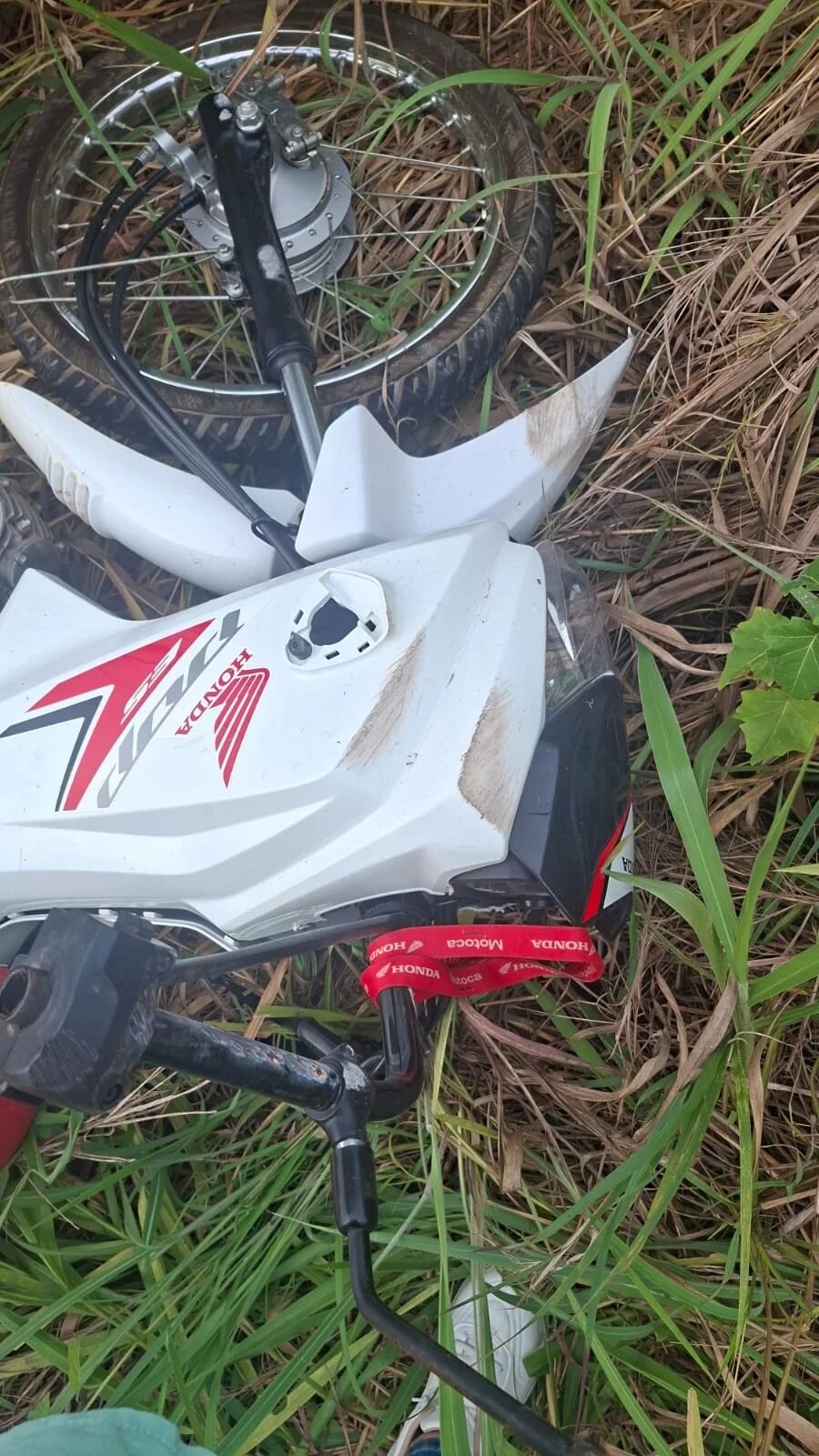 Jovem desaparecido é encontrado morto em área de mata no Pará