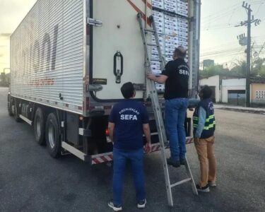 Sefa apreende oito toneladas de uvas com cadastro irregular no Nordeste do Pará