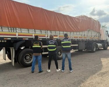 Sefa apreende tubos de cobre e toneladas de sacolas plásticas no interior do Pará