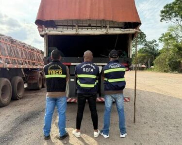 Sefa apreende tubos de cobre e toneladas de sacolas plásticas no Pará