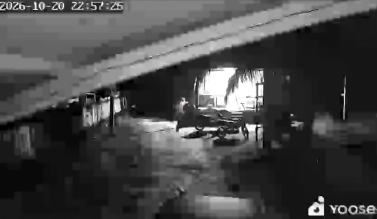 Vídeo: casal é executado na frente dos filhos pequenos no Pará