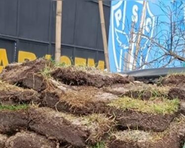 Vídeo: Paysandu divulga imagens da Curuzu sem gramado e atualiza obras